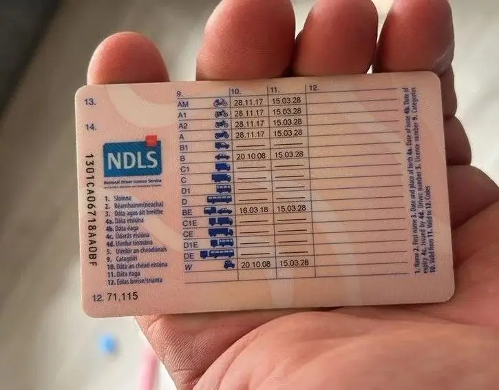  Apply, Renew & Pass Your Driving Test in Ireland